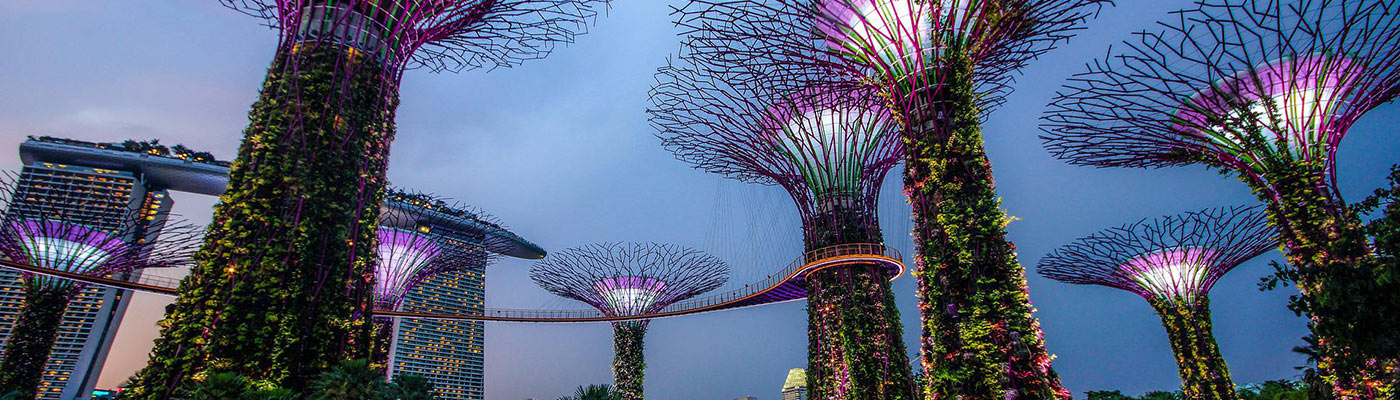 Gardens By The Bay
